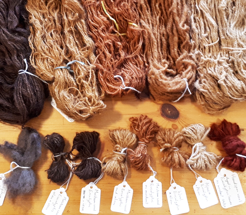 Natural Dyeing – dyeing results from Eucalyptus leaves